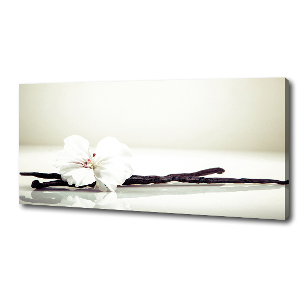 Foto quadro su tela Baccello di vaniglia