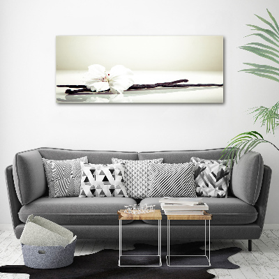 Foto quadro su tela Baccello di vaniglia