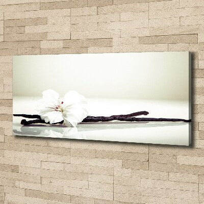 Foto quadro su tela Baccello di vaniglia