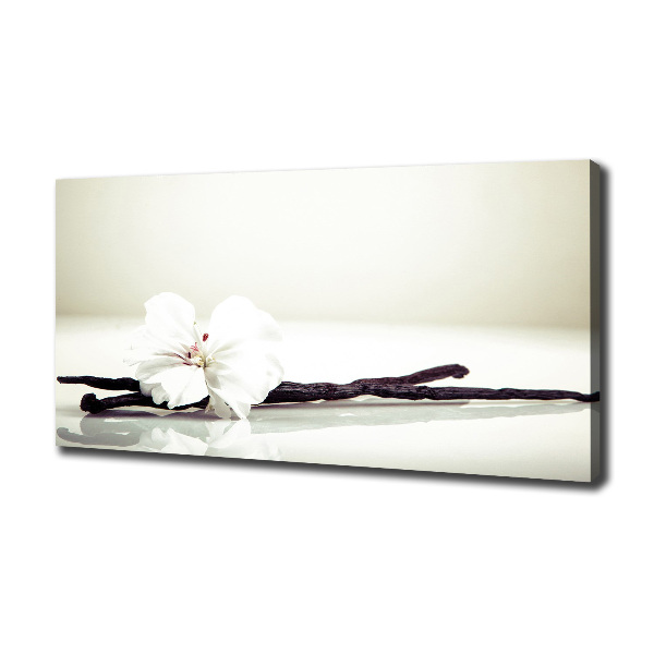 Foto quadro su tela Baccello di vaniglia