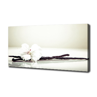 Foto quadro su tela Baccello di vaniglia