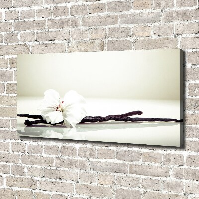 Foto quadro su tela Baccello di vaniglia