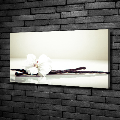 Foto quadro su tela Baccello di vaniglia