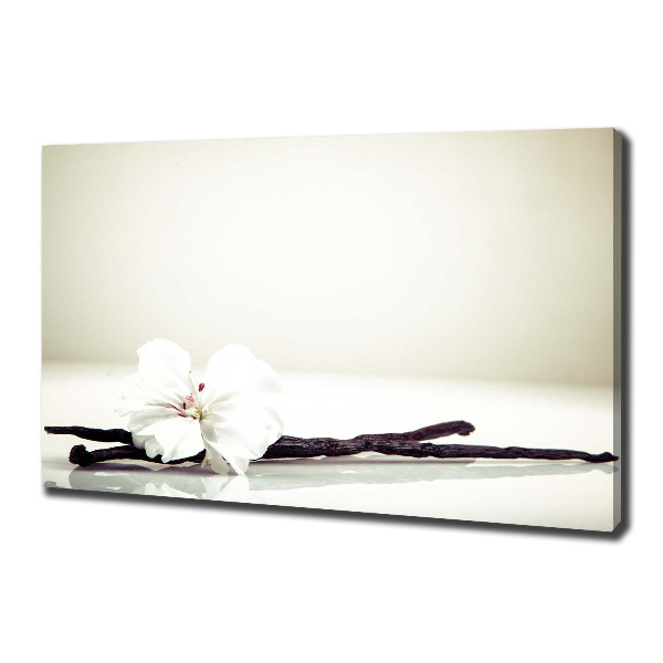 Foto quadro su tela Baccello di vaniglia