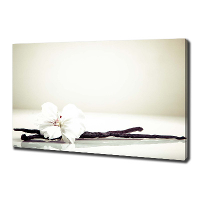 Foto quadro su tela Baccello di vaniglia