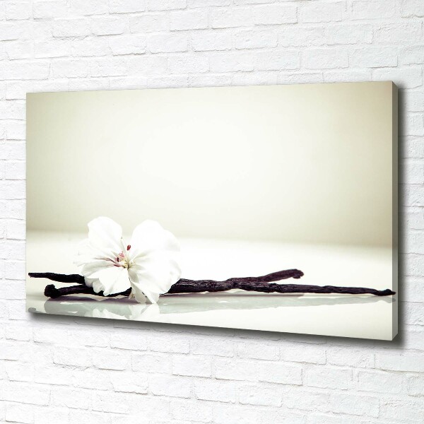 Foto quadro su tela Baccello di vaniglia