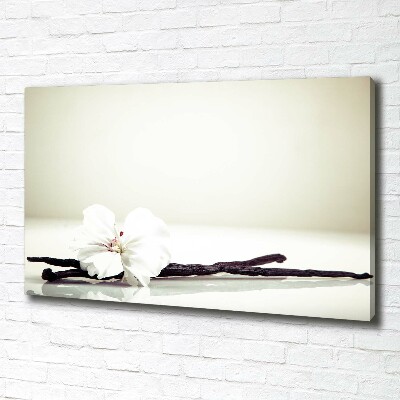 Foto quadro su tela Baccello di vaniglia