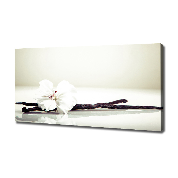 Foto quadro su tela Baccello di vaniglia