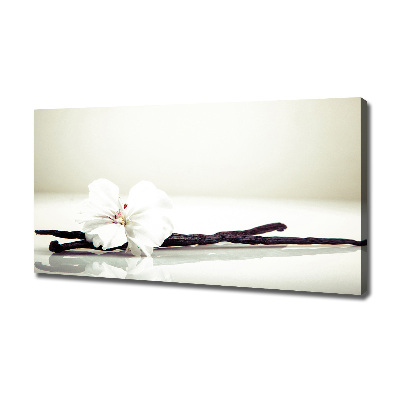 Foto quadro su tela Baccello di vaniglia