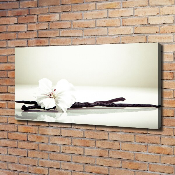 Foto quadro su tela Baccello di vaniglia