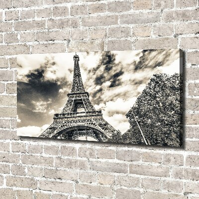 Quadro su tela Torre Eiffel Parigi