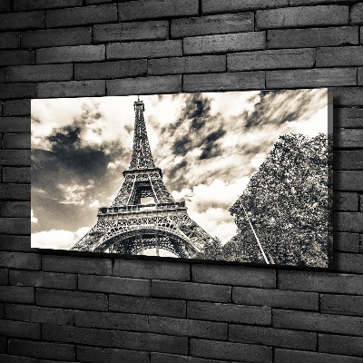 Quadro su tela Torre Eiffel Parigi
