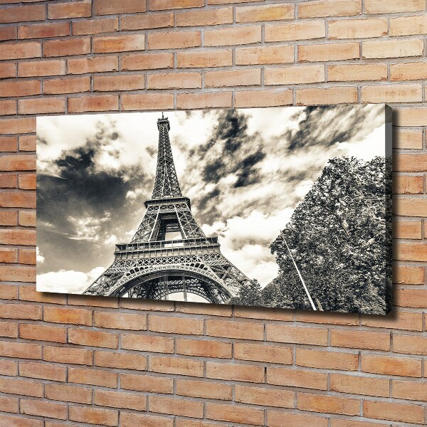 Quadro su tela Torre Eiffel Parigi