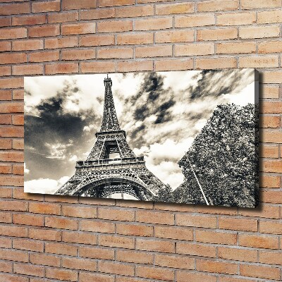 Quadro su tela Torre Eiffel Parigi