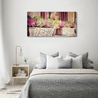 Foto quadro su tela Lavanda in vaso
