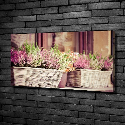 Foto quadro su tela Lavanda in vaso