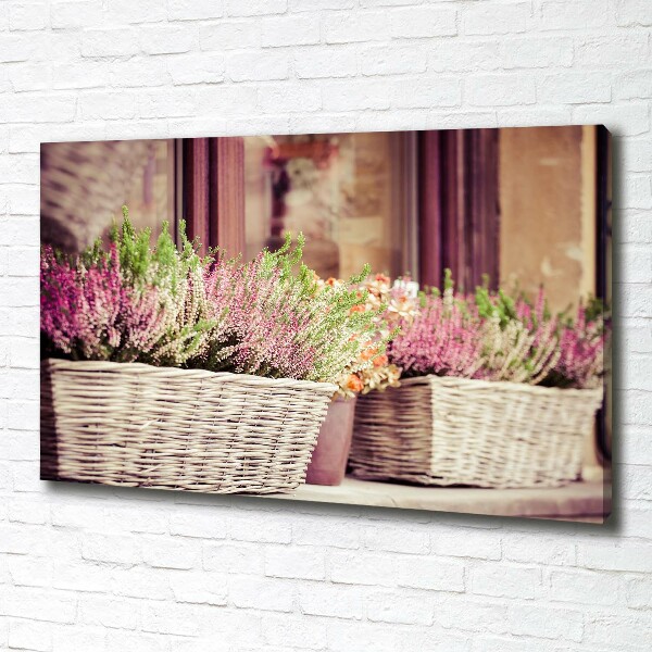 Foto quadro su tela Lavanda in vaso