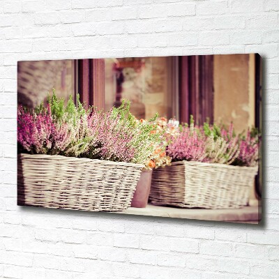 Foto quadro su tela Lavanda in vaso