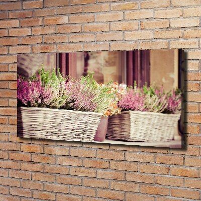 Foto quadro su tela Lavanda in vaso