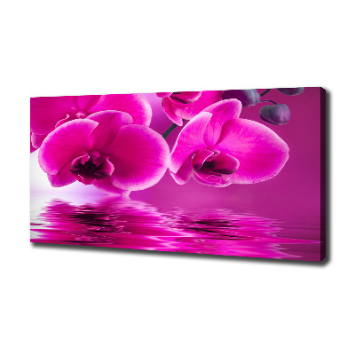 Quadro su tela Orchidea