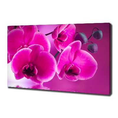 Quadro su tela Orchidea