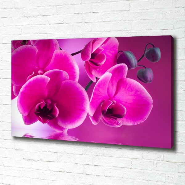 Quadro su tela Orchidea