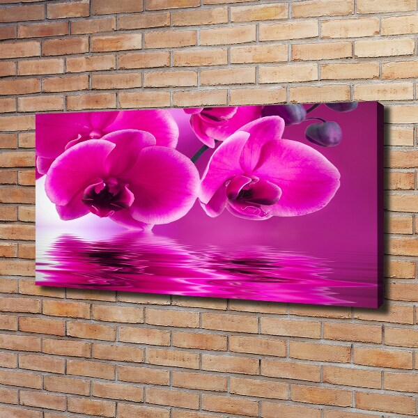 Quadro su tela Orchidea