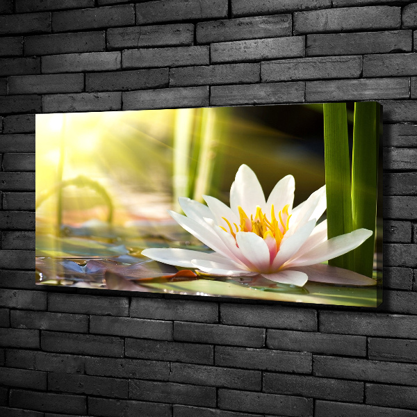 Quadro stampa su tela Ninfea