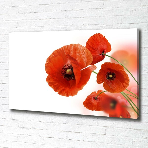 Quadro su tela Papaveri