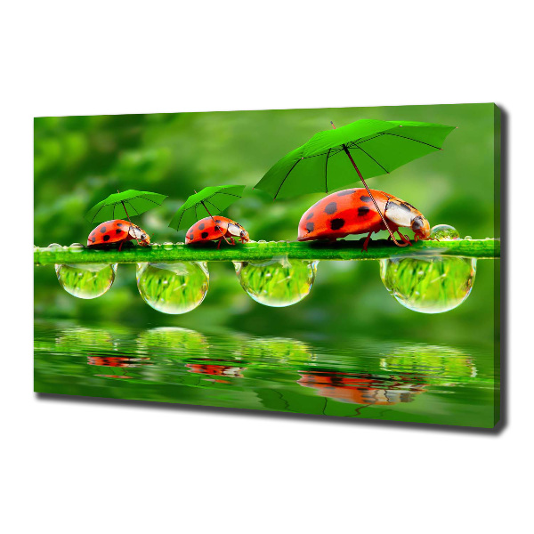 Quadro su tela Ombrelli a forma di coccinella