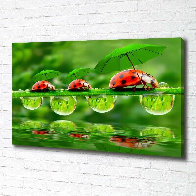 Quadro su tela Ombrelli a forma di coccinella