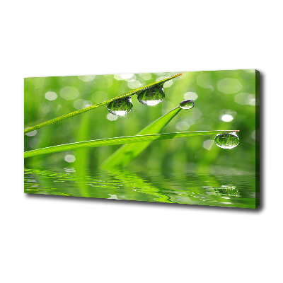 Foto quadro su tela Gocce sull'erba