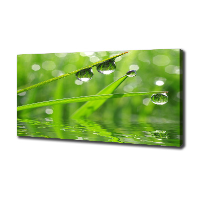 Foto quadro su tela Gocce sull'erba