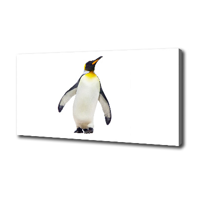 Quadro su tela Pinguino