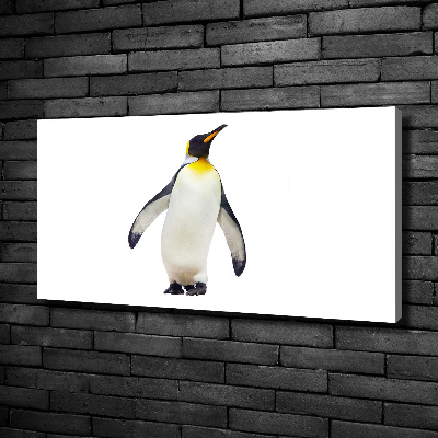 Quadro su tela Pinguino