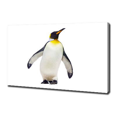 Quadro su tela Pinguino