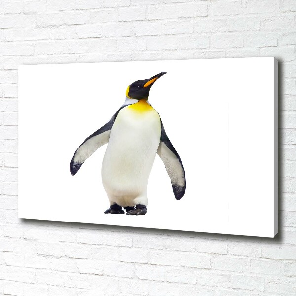 Quadro su tela Pinguino