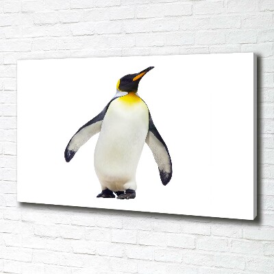 Quadro su tela Pinguino