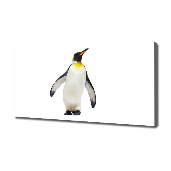 Quadro su tela Pinguino