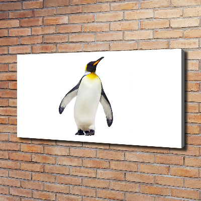 Quadro su tela Pinguino