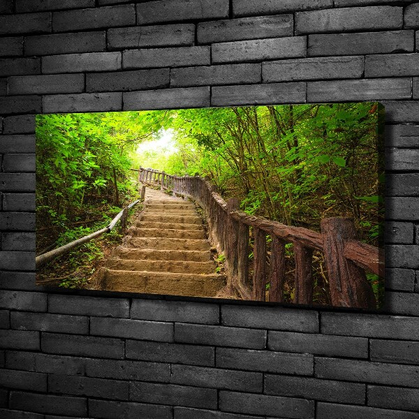 Foto quadro su tela Scale nella foresta