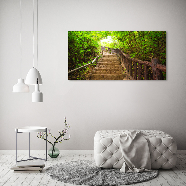 Foto quadro su tela Scale nella foresta