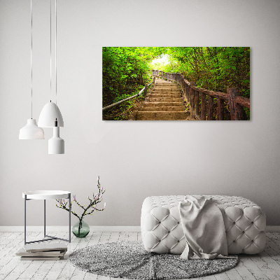 Foto quadro su tela Scale nella foresta