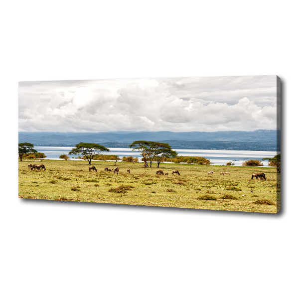 Quadro stampa su tela Lago Naivasha
