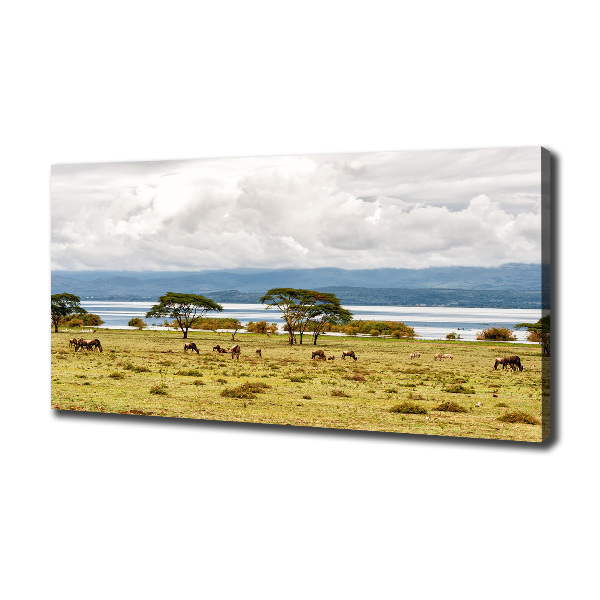 Quadro stampa su tela Lago Naivasha