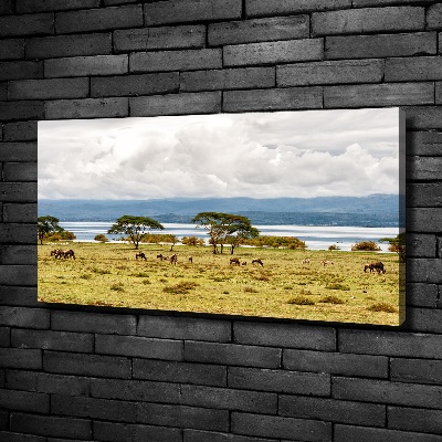 Quadro stampa su tela Lago Naivasha