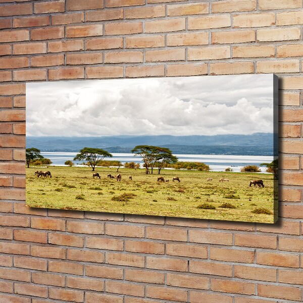 Quadro stampa su tela Lago Naivasha