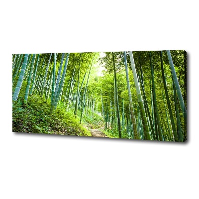Foto quadro su tela Foresta di bambù