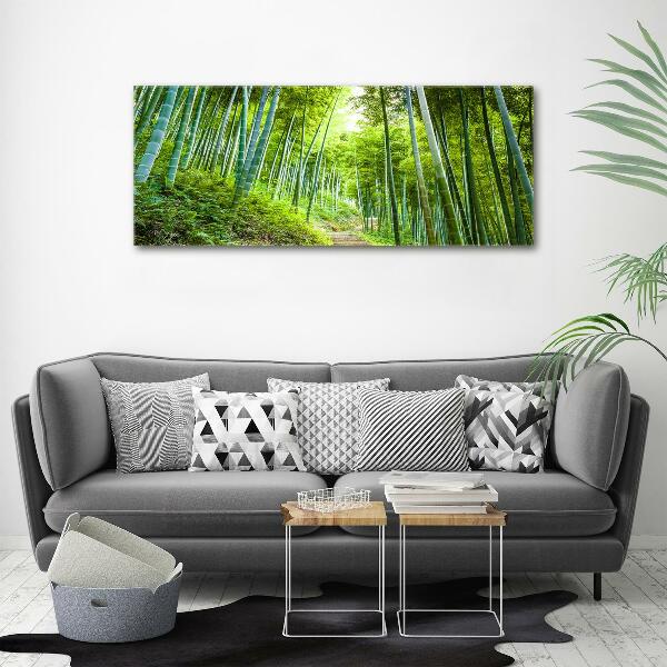 Foto quadro su tela Foresta di bambù