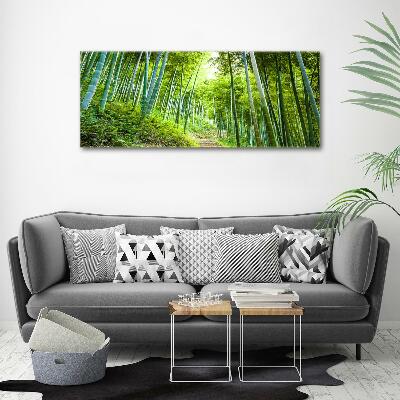 Foto quadro su tela Foresta di bambù
